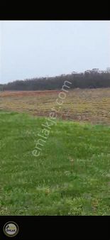 Stm Emlak Tan Kuşcenneti Acil Satılık Tarla