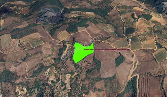 Bursa İli İznik İlçesi Tacir Köyünde Kadastrol Yola Cepheli 14.964,01 M Kare Kelepir Tarla