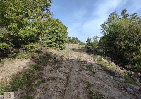 Satılık Yatırımlık Tarla Manisa Sakallı Köyünde 6400 M2