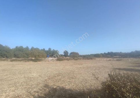 Satılık Yatırımlık Tarla Manisa Yunusemre Dazyurt Da