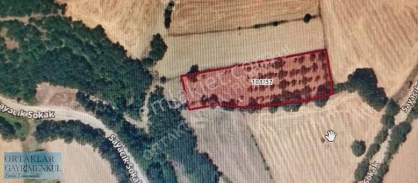 Balıkesir Kepsut Sayacıkta 3 Dönüm Tarla