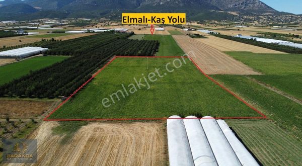 Elmalı Çaybaşı Mahallesinde 14000 M² Tarla
