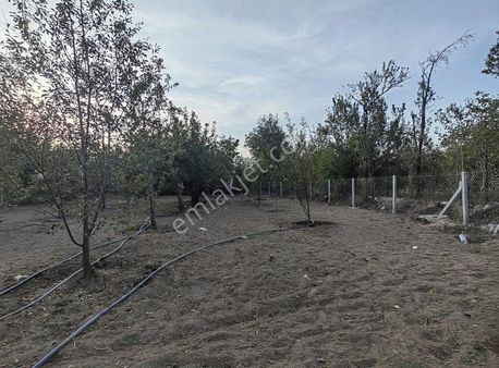 Nasreddin Emlaktan Doğrugöz Merkezde Satılık Yatırımlık Bahçe