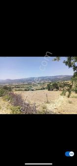 İzmir Bergama İneşir Mahallesi Satılık Tarla