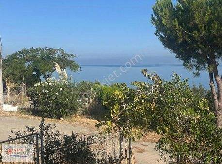 Mudanya Çamlıbel'de Denize Sıfır Kupon Arazi Ve Ev