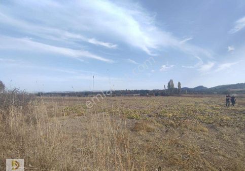 Satılık Tarla Manisa Yunusemre Osmancalı Köyünde 1200 M2