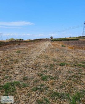 Çanakkale Biga Bekirli Köyü Kadastral Yola Cepheli Satılık Tarla