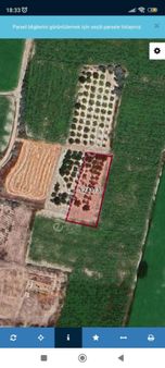 Kaçmaz Emlaktan Yeşilhisar Kesikte Satılık Kayısı Bahcesi