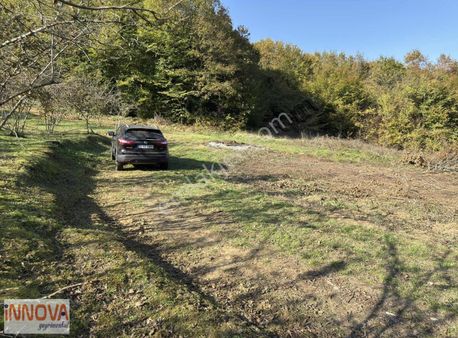 İnnova'dan Kocaeli Topluca'da Satılık Fındık Bahçesi