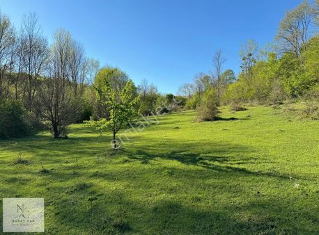 Sinop, İncirpınarında 22 Dönüm Satılık Tarla