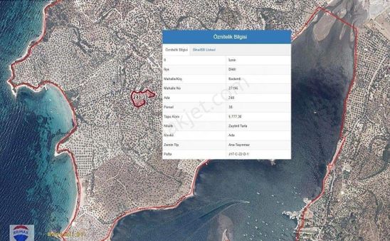 Zmir Dikili Bademlide Satılık Zeytinlik