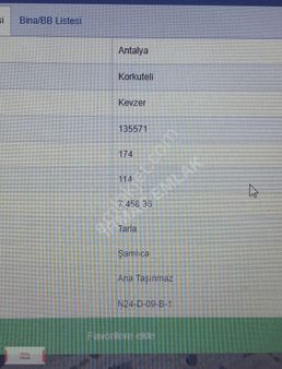 Korkuteli Kevserde 7900 M Satılık Tarla