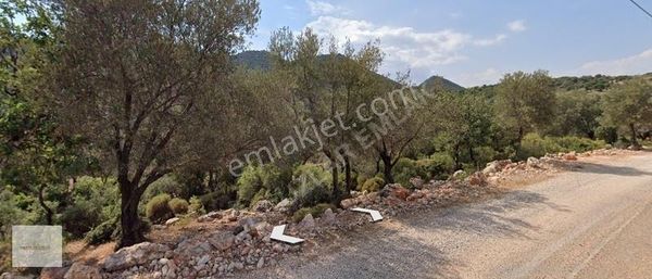 Oğuzlar Emlaktan Kaş Belenli Mah Satılık Tarla