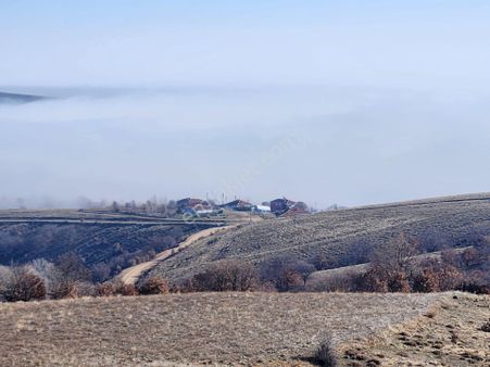 Kırıkkale Keskin Dağsolaklı 11.674 M2 Bağ Tapu