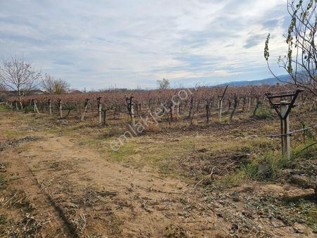 Çakırcaalide Satılık