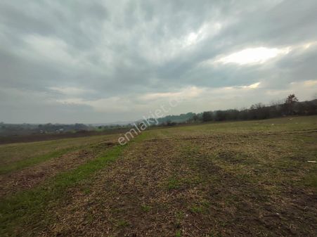 Satılık Tarla Manisa Yunusemre Sarma Köyü'nde 50925 M2