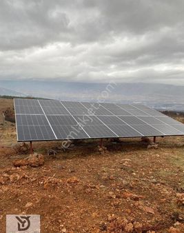 Serinhisar Şaireşref Te Satılık Ceviz Bahçesi