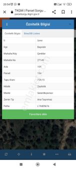 Turpa Taşdemir'den Çenikler'de Satilik 724,15 M2 Zeytinlik