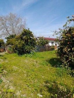 Köyceğiz Mahallesi Pazarkavağı Mevkiinde 3500 M2 Arazi İçinde Tapuya İşli 80 M2 Oturumlu Ev Ve Ya