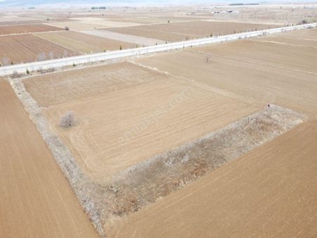 Denizli Baklan Konak Da 1103 M2 Tek Tapu Tarla Karadeniz Emlakta