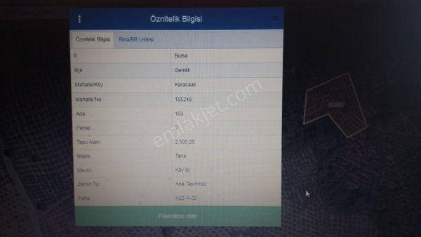 Gemlik Karacaali'de Satılık Zeytinlik Tarla 2600m2.