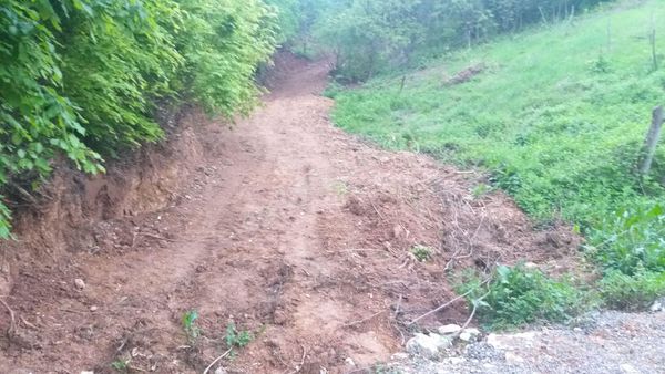 Kestel Lütfiye,de Ahududu Ekili Satılık 1674 M2 Hobi Bahçesi