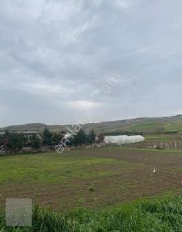 Çatalca Hürriyet Mah Yatırımlık Arsa