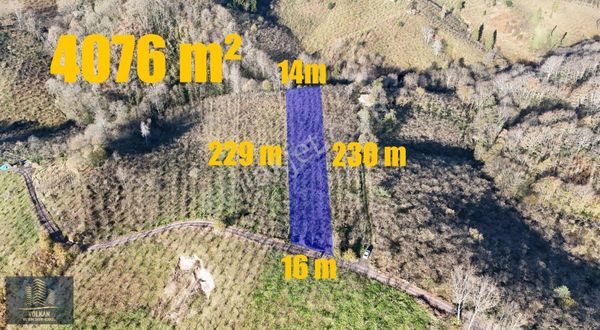 Arsin Yolüstü Mevkisinde Eğimsiz, Villalık 4076 M² Arsa