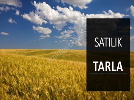 Adana Sarıçam Cihadiye Mah.tek Tapu 44.478 M2 Alternatifsiz Kaçmaz Fırsat