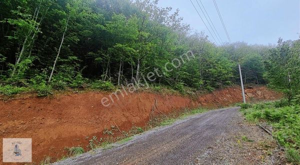 Kocaeli/ Servetiye Satılık Arsa