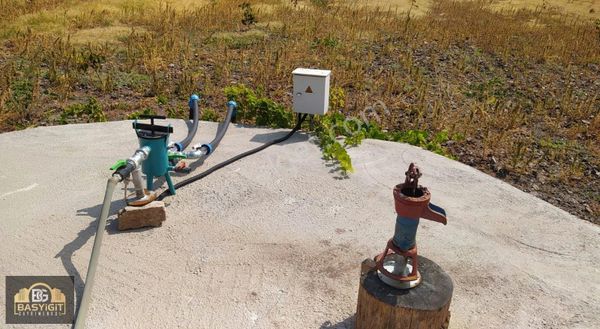 Akhisar Sarnıç Mh.de Asfalt Yol Üzeri Satılık Ceviz Tarlası