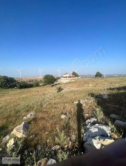 Oflaz Emlak'tan Satılık Egercide 500 M2 Tek Tapu Tarla