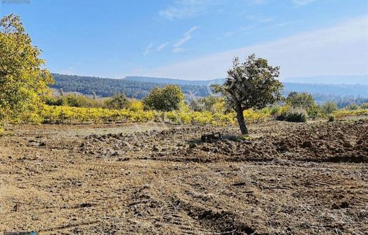 Hakan Gayrimenkul'den Sakarya Geyve Hisarlık 991 M2 Arazi