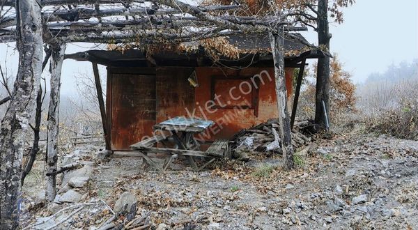 Güneybudaklar Villalık Arazi 3770m2