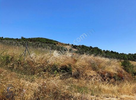 Göl Manzaralı Tek Tapu Fırsat Tarla