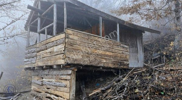 Güneybudaklar Villalık Arazi 5034m2