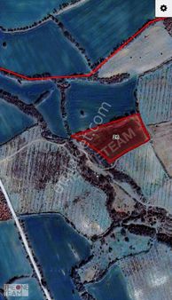 Çanakkale Bayramiç Yeniköy'de 8.000 M2 Satılık Tarla