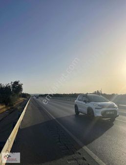 ~e-87 Karayolu Üzeri Zeytinlik~