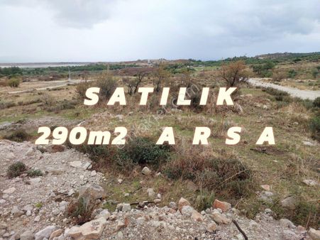 Dikili Çandarlı Elele Konutyapı Koperatifinde Mülksahibinden Satılık 290m2 Arsa