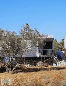 Urla Naiplide Zeytinlikler Arasında Doğayla Baş Başa