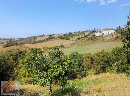 Çiftlikköy Denizçalı Köyü Yerleşim Alanın Da İmarlı Arsa