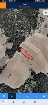 Bilecik Gölpazari Dereli Köyü Yollu Arazi