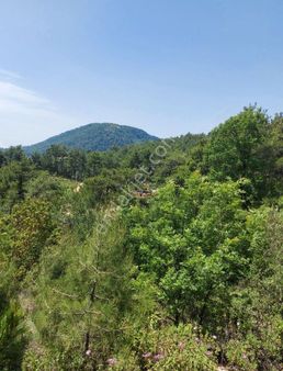 Alanya Mahmutseydi Mahallesi ( Maşad Ardı) Satılık Tarla