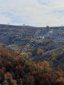 Kocaeli Karamürsel Fulacık Köyünde 2636 M2 Müstakil Tapulu Arazi