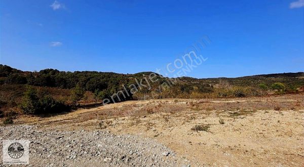 Şile Ağva Çelebi Köyünde 456m2 Köye Yakın Arazi