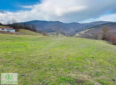 Atakum Akalanda 4.850m2 Tek Tapu Yatırımlık Doğa Manzaralı Tarla