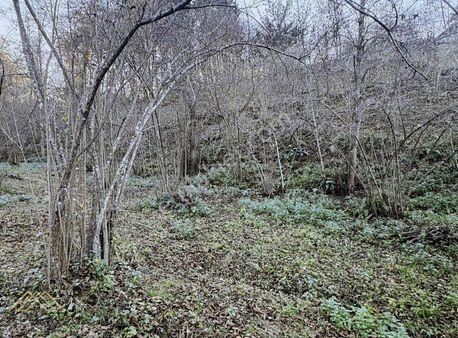 Trabzon Kavala'da Satılık Fırsat Arazi