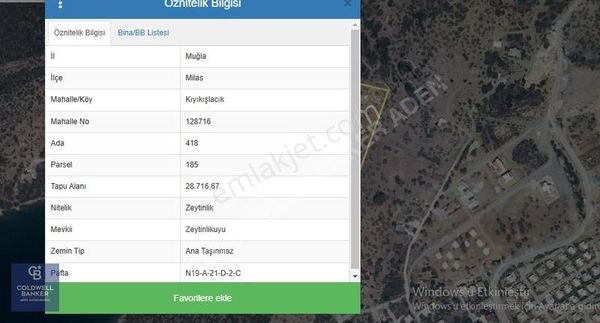 Milas Kıyıkışlacıkta Denize Sıfır Satılık Zeytinlik