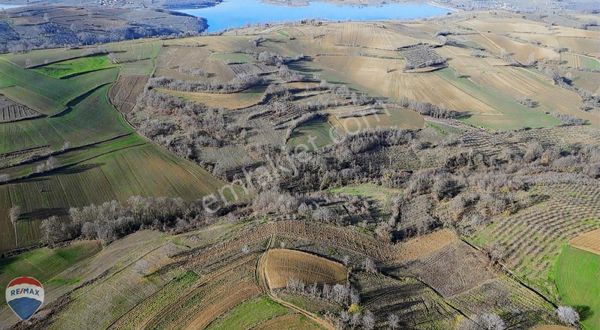 Remax Canan Günay Kandıra Selimköy Satılık 2412 M2 Tarla