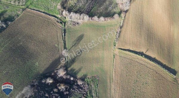 Remax Canan Günay Kandıra Araman Satılık 1832 M2 Tarla